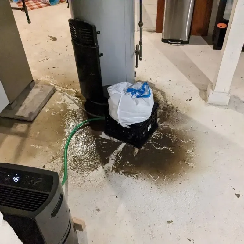 Sewage Backup Cleanup Service in West Clarkston-Highland, WA